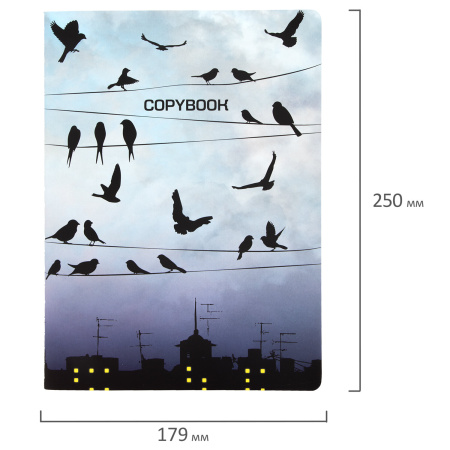 Тетрадь 60 л. в клетку обложка SoftTouch, бежевая бумага 70 г/м2, сшивка, В5 (179х250 мм), ТУМАН, BRAUBERG, 1403819 - Тетради более 60 листов