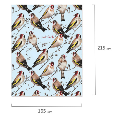 Тетрадь на кольцах А5 (165х215 мм), 120 листов, твердый картон, клетка, BRAUBERG, Щеглы, 404079 - Тетради на кольцах и сменные блоки к ним