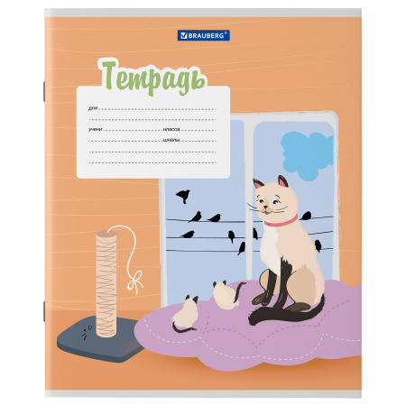 Тетрадь 12 л. BRAUBERG, линия, обложка картон, "ОЗОРНЫЕ КОТЫ", 106472 - Тетради 12-24 листов