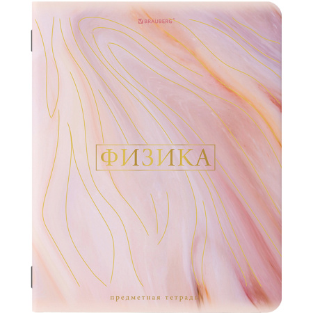 Тетради предметные со справочным материалом, КОМПЛЕКТ 10 ПРЕДМЕТОВ, "PASTEL", 48 л., SoftTouch, фольга, BRAUBERG, 404031 - Тетради предметные