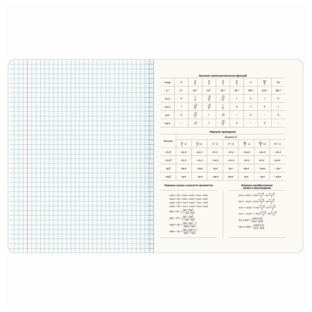 Тетради предметные, КОМПЛЕКТ 12 ПРЕДМЕТОВ, "КОТ-ЭНТУЗИАСТ", 48 л., TWIN-лак, BRAUBERG, 404609 - Тетради предметные