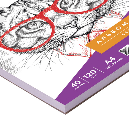 Скетчбук, белая бумага 120 г/м2, 205х290 мм, 40 л., гребень, жёсткая подложка, BRAUBERG ART DEBUT, 110984 - Альбомы, скетчбуки и бумага для графики и эскизов