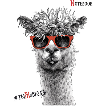 Тетрадь А5, 48 л., ПЗБМ, скоба, клетка, Soft Touch, выборочный лак, "Черно-белые звери" (5 видов), 027941 - Тетради 40-48 листов