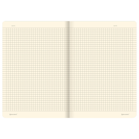 Тетрадь 40 л. в клетку обложка SoftTouch, бежевая бумага 70 г/м2, сшивка, А5 (147х210 мм), BEAUTIFUL DAY, BRAUBERG, 403772 - Тетради 40-48 листов