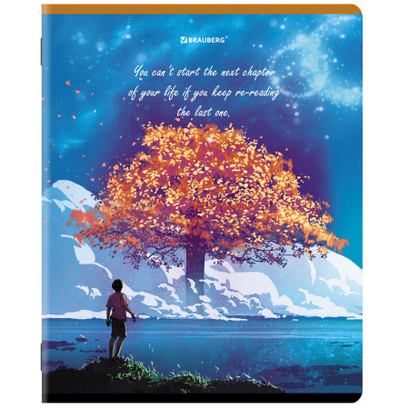 Тетради КОМПЛЕКТ 5 шт., А5, 96 л., BRAUBERG скоба, клетка, глянцевый лак, "Dream World", 404402 - Тетради более 60 листов