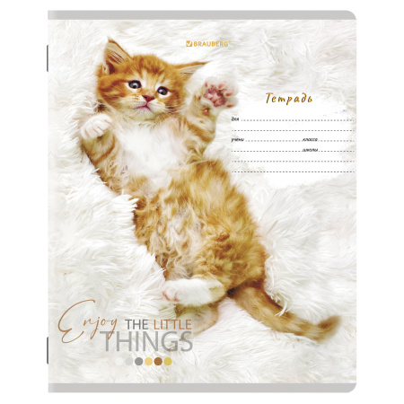 Тетради 12 л. КОМПЛЕКТ 10 шт. BRAUBERG, клетка, обложка картон, ПИТОМЦЫ, 106663 - Тетради 12-24 листов