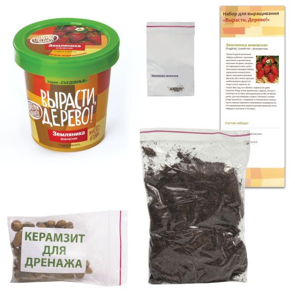 Набор для выращивания растений ВЫРАСТИ ДЕРЕВО! "Земляника ананасная" (банка, грунт, семена), zk-038 - Наборы для выращивания растений