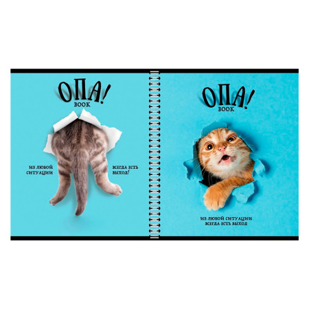 Тетрадь А5 96 л. ПЗБМ, гребень, клетка/линия, выборочный лак, перевёртыш, "Опа!" (5 видов), 028558 - Тетради более 60 листов