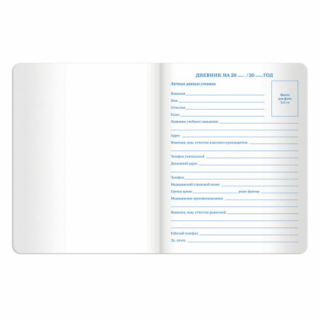 Дневник 1-11 класс 48 л., кожзам (твердая с поролоном), тиснение аппликация, BRAUBERG, "СЛАДОСТИ", 105487 - Дневники универсальные