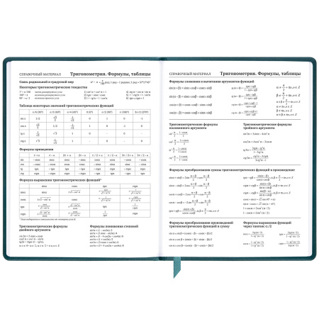 Дневник 1-11 класс 48 л., кожзам (твердая), печать, резинка, конверт, BRAUBERG, "Bright Lion", 106577 - Дневники универсальные