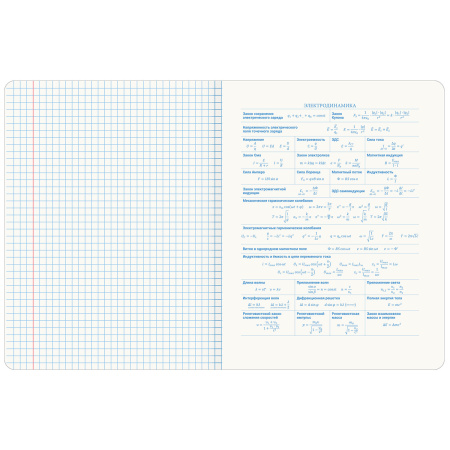 Тетрадь предметная со справочным материалом ORIGINAL 48 л., TWIN лак, ФИЗИКА, клетка, BRAUBERG, 404307 - Тетради предметные