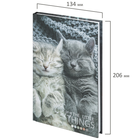 Блокнот А5 (134х206 мм), 80 л., твёрдый, клетка, STAFF, "Котики", 114413 - Блокноты в книжном переплете