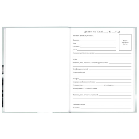 Дневник 5-11 класс 48 л., твердый, BRAUBERG, выборочный лак, с подсказом, "Super Car", 106634 - Дневники для старших классов