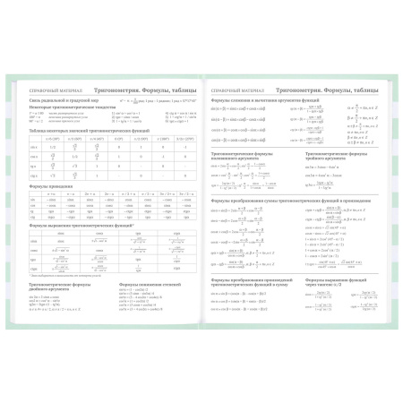 Дневник 1-11 класс 48 л., твердый, BRAUBERG, блестки, с подсказом, "Котик", 106606 - Дневники для младших классов