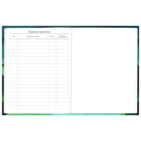 Дневник 5-11 класс 48 л., твердый, BRAUBERG, глянцевая ламинация, с подсказом, "Мир Будущего", 106627 - Дневники для старших классов