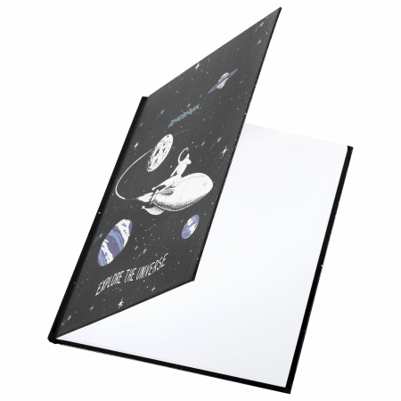 Дневник 1-4 класс 48 л., твердый, ЮНЛАНДИЯ, глянцевая ламинация, с подсказом, "SpaceX", 106351. - Дневники для младших классов