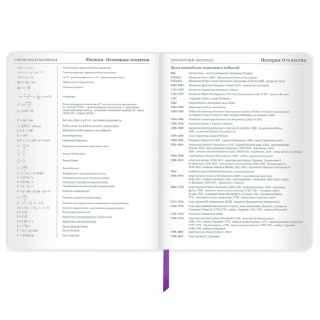 Дневник 1-11 класс 48 л., кожзам (гибкая), термотиснение, фольга, BRAUBERG, "Panda", 106171 - Дневники универсальные