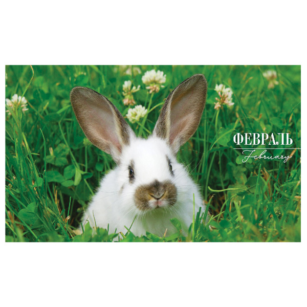 Календарь квартальный с бегунком 2023 г., 3 блока, 4 гребня, СуперЛюкс, "Год Кролика", HATBER, 3Кв4гр2ц_26235 - Календари настенные