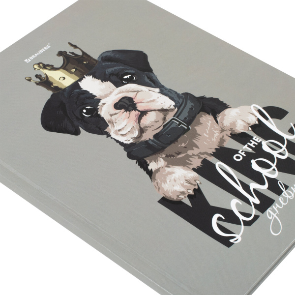 Дневник 5-11 класс 48 л., твердый, BRAUBERG, глянцевая ламинация, с подсказом, "Милый Пёс", 106402 - Дневники для старших классов