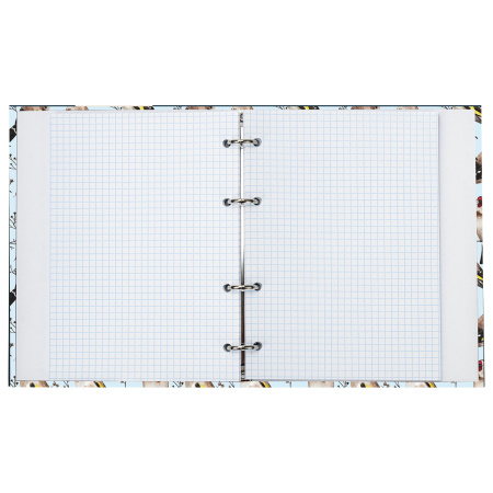 Тетрадь на кольцах А5 (165х215 мм), 120 листов, твердый картон, клетка, BRAUBERG, Щеглы, 404079 - Тетради на кольцах и сменные блоки к ним