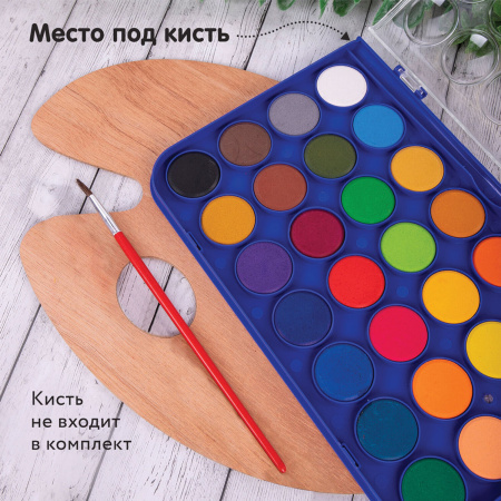 Краски акварельные BRAUBERG "PREMIUM" 28 цветов, круглые кюветы 28 мм, пенал, 191745 - Краски для детского творчества