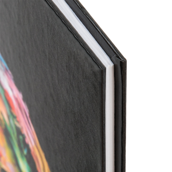 Дневник 5-11 класс 48 л., твердый, BRAUBERG, глянцевая ламинация, с подсказом, "Eagle", 106388 - Дневники для старших классов