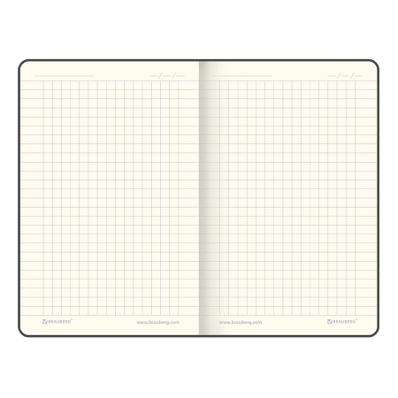 Блокнот МАЛЫЙ ФОРМАТ (100x150 мм) А6, BRAUBERG "Metropolis Mix", под кожу, 80 л., клетка, мятный, 113330 - Бизнес-блокноты и бизнес-тетради