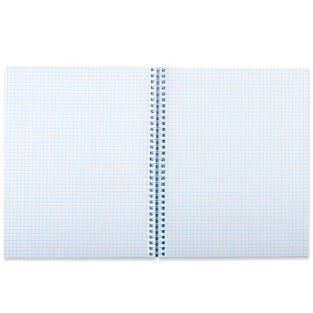 Тетрадь А5 96 л. BRAUBERG, гребень, клетка, твёрдая обложка, "Совы" (4 вида в спайке), 404443 - Тетради более 60 листов