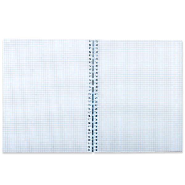 Тетрадь А5 96 л. BRAUBERG, гребень, клетка, твёрдая обложка, "Совы" (4 вида в спайке), 404443 - Тетради более 60 листов