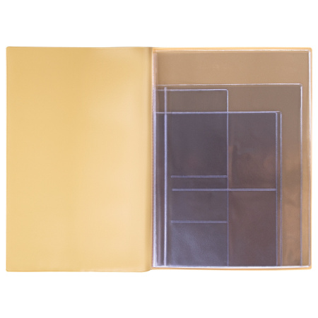 Папка для семейных документов с файлами (паспорта, свидетельства, полисы, СНИЛС) STAFF, 16 отделений, ПВХ, бежевая, 237808 - Обложки для документов