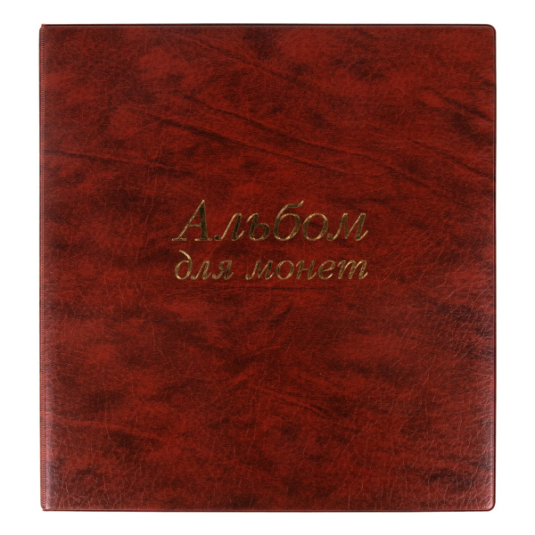 Альбом нумизмата для 380 монет (диаметр до 38 мм) и купюр, 253х238 мм, коричневый, ОСТРОВ СОКРОВИЩ, 237961