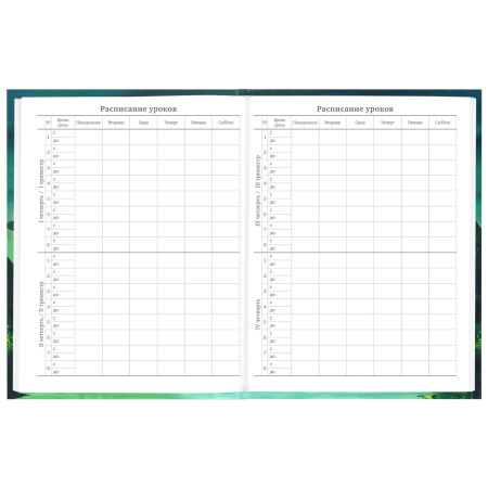 Дневник 5-11 класс 48 л., твердый, BRAUBERG, глянцевая ламинация, с подсказом, "Мир Будущего", 106627 - Дневники для старших классов