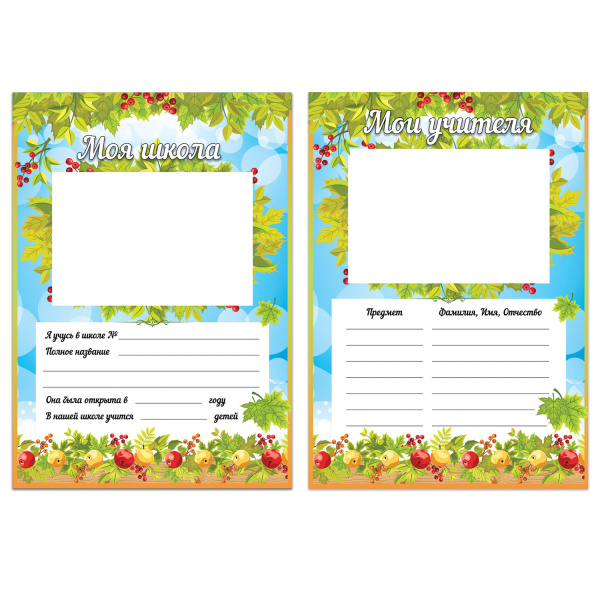 Листы-вкладыши для портфолио школьника, 14 разделов, 16 листов, "Окружающий мир", BRAUBERG, 126896 - Портфолио