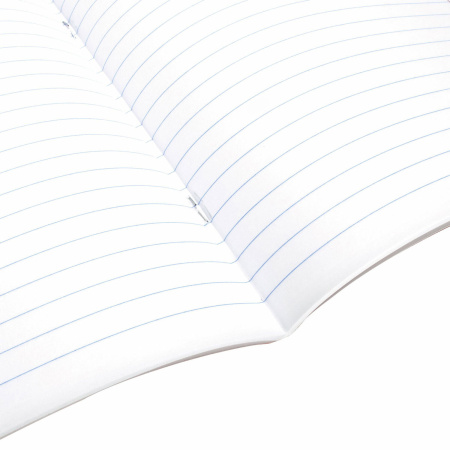 Тетрадь предметная "МИР ЗНАНИЙ" 36 л., обложка мелованная бумага, РУССКИЙ ЯЗЫК, линия, BRAUBERG, 404602 - Тетради предметные