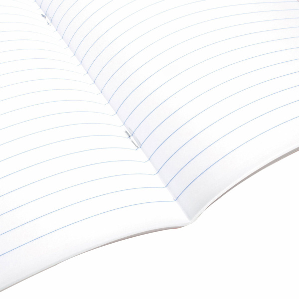 Тетрадь предметная "МИР ЗНАНИЙ" 36 л., обложка мелованная бумага, РУССКИЙ ЯЗЫК, линия, BRAUBERG, 404602 - Тетради предметные