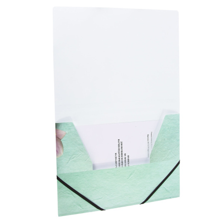 Папка на резинках BRAUBERG "FLOWER", А4, цветная печать, до 300 листов, 500 мкм, 228032 - Папки на резинках пластиковые