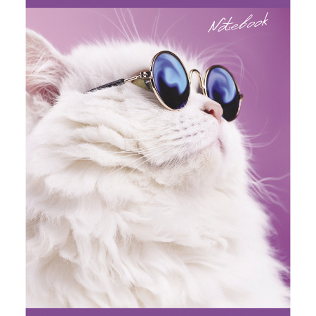 Тетрадь А5, 48 л., ПЗБМ, скоба, клетка, фольга, конгрев, TWIN лак, "КОТ БАЗИЛ" (5 видов), 029211 - Тетради 40-48 листов