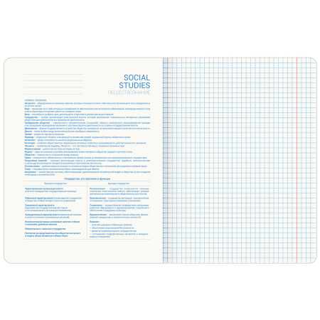 Тетрадь предметная со справочным материалом ORIGINAL 48 л., TWIN лак, ОБЩЕСТВОЗНАНИЕ, клетка, BRAUBERG, 404298 - Тетради предметные