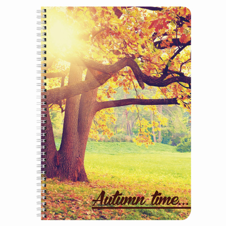 Тетрадь А4, 96 л., BRAUBERG, гребень, клетка, обложка картон, 4 СЕЗОНА, 403071 - Тетради формата А4