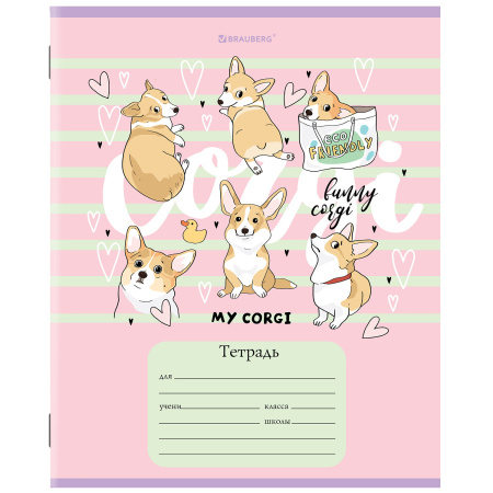 Тетрадь 12 л. BRAUBERG, клетка, обложка картон, "КОРГИ", 106460 - Тетради 12-24 листов
