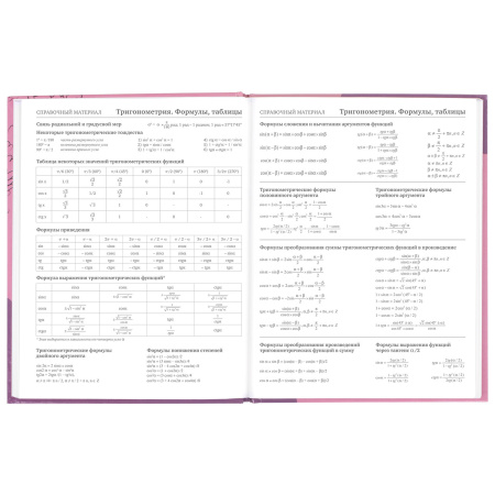 Дневник 5-11 класс 48 л., твердый, BRAUBERG, глянцевая ламинация, с подсказом, "Сладкая Жизнь", 106400 - Дневники для старших классов