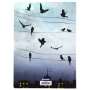 Тетрадь 60 л. в клетку обложка SoftTouch, бежевая бумага 70 г/м2, сшивка, В5 (179х250 мм), ТУМАН, BRAUBERG, 1403819 - Тетради более 60 листов