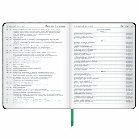 Дневник 1-11 класс 48 л., кожзам (твердая с поролоном), флуоресцентный, BRAUBERG, "Avocado", 106200 - Дневники универсальные