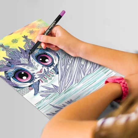 Серия Iceana: Раскраска для девочек - Наборы для рисования