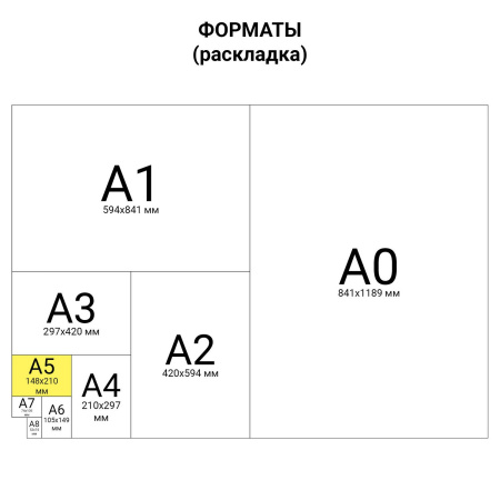 Тетрадь предметная "SHADE" 48 л., глянцевый лак, РУССКИЙ ЯЗЫК, линия, BRAUBERG, 404270 - Тетради предметные