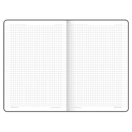 Блокнот А5 (143x210 мм), BRAUBERG VISTA "Expression", под кожу, гибкий, 80 л., 112082 - Бизнес-блокноты и бизнес-тетради