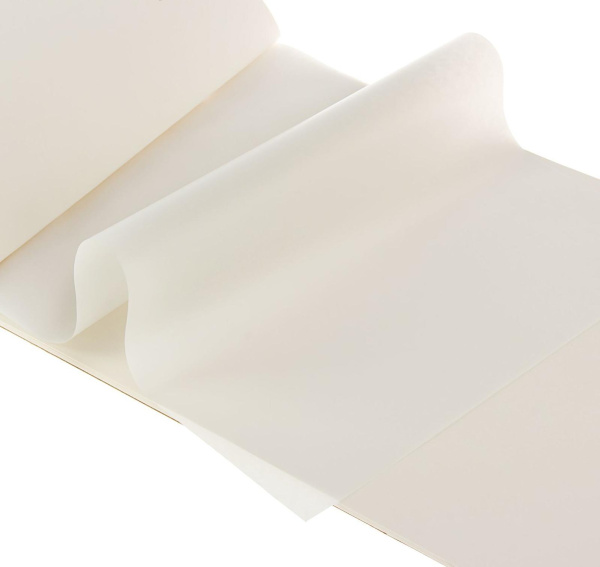 Альбом на сутаже для пастели Palazzo Модерн «Слоновая кость» 280 г/м2 А3 20 л (10 л бумага рисовальная слоновая кость + 10 л калька) - Альбомы и бумага для пастели