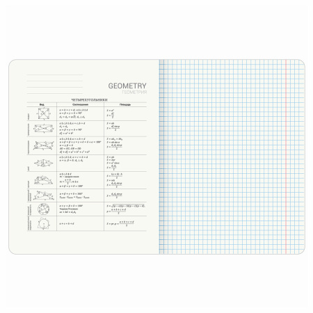 Тетрадь предметная ANIME 48 л., глянцевый УФ-лак, ГЕОМЕТРИЯ, клетка, BRAUBERG, 404537 - Тетради предметные