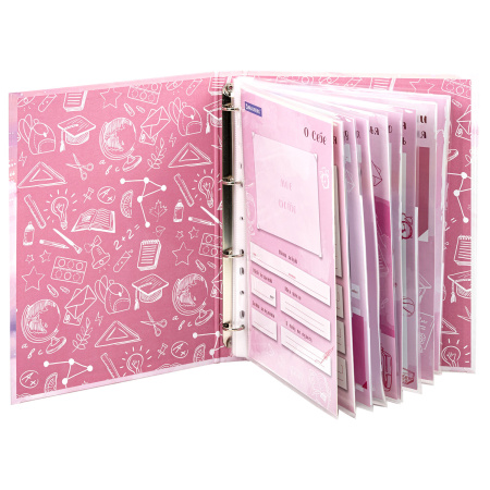 Папка-портфолио школьника "ОТЛИЧНИЦА", 4 кольца, 20 файлов, 10 вкладышей, 7БЦ матовая, BRAUBERG, 115239 - Портфолио