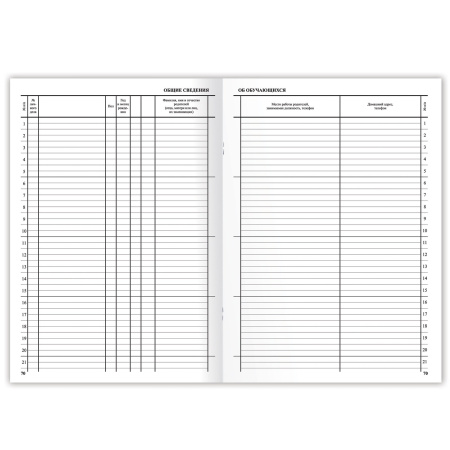 Классный журнал BRAUBERG 1-4 кл., А4, 200х290 мм, твердая ламинированная обложка, офсет, 125140 - Классные журналы